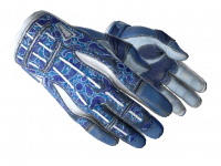 ★ Sport Gloves Amphibious